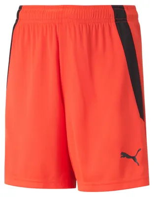Obrázek produktu pro Puma Kalhoty Teamliga, 70493145, Größe: 152