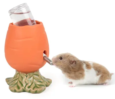 Hamster-Wasserflasche 80 ml mit Karotten-Keramikhalter