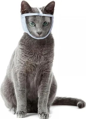 Produktbild von Atmungsaktive PVC Katzenmaulkorb - Katzen-Gesichtsschutz für Katzenbäder - Pflege