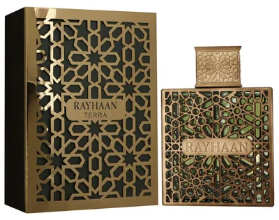 Produktbild von Rayhaan Terra 100 ml Eau de Parfum EDP Herrenparfum
