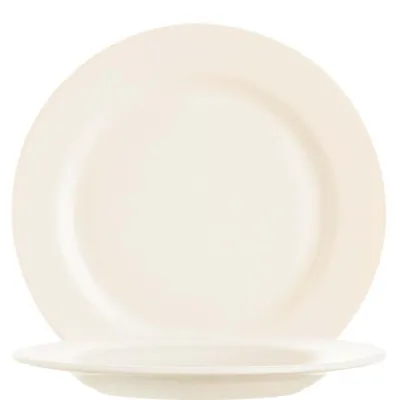 Productafbeelding van INTENSITY Wegwerpborden, 31 cm, Zenix, verpakking van 12 stuks