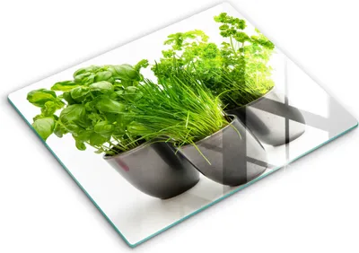 Produktbild von Glasschneideplatte - Herdabdeckplatte - 52x40 cm - Schneidebrett - Spritzschutz - Potflowers mit Kräutern