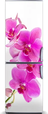 Produktbild von Tulup Kühlschrankdekoration - Magnetmatte - 70 cm x 190 cm - Magnet auf dem Kühlschrank - Rosa Orchidee