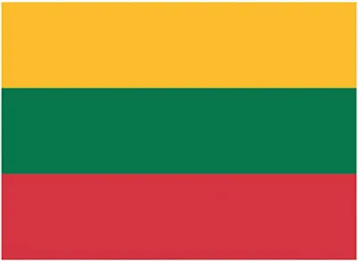 Image de Printwear | Drapeau Lituanie / 90 x 150 cm - Couleur : Lituanie - Taille : 90 x 150 cm