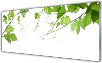 Produktbild von Acrylglasbilder 125x50 Wandbild Druck Zweige Blätter Pflanzen