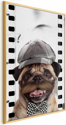 Produktbild von Posterpapier Poster - Pug in a Hat 60x90 cm Für Kinder g-A-0160-ao-a