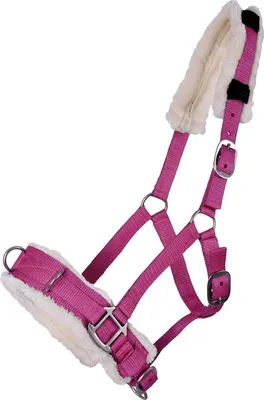 Image de Bridon QHP Fuchsie, QHP17_Taille:Poney