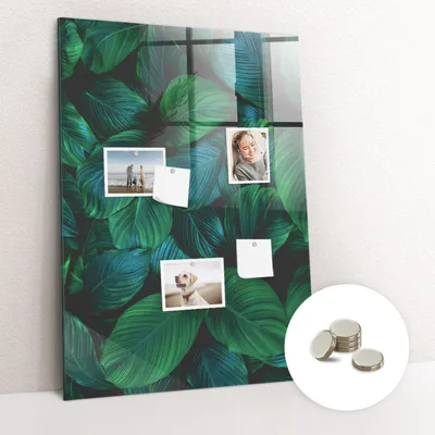 Obrázek produktu pro Magnetická Tabule na Zeď Skleněná - Memo Board Kleněnou Přední Stranou - 5 magnetů v balení - 70x100 cm - Velké tropické listy