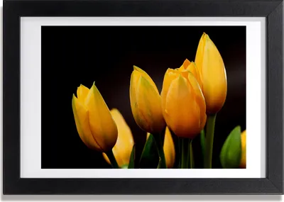 Produktbild von Bild 30x20 MDF-Rahmen, Wandkunst gelbe Tulpen