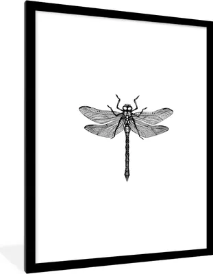 Produktbild von MuchoWow® Gerahmtes Poster Libelle - Insekten - Retro - Schwarz und weiß 60x80 cm - Poster mit Schwarzem Bilderrahmen Wandposter Rahmen Foto Bilder - Wohnzimmer - Dekorationen - Prämie
