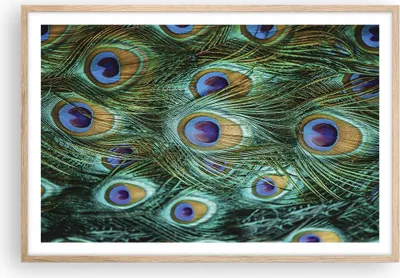 Produktbild von Gerahmtes Poster - Rahmen in heller Eiche - Pfauen Feder Makro - 91,5x61 cm - Wand Bild - Wanddeko - Wandbilder - Wandposter - Bilderrahmen - Bilder - Kunstdruck - Wandbild - P2NAA91x61-4159