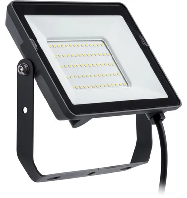 Image de Philips Projecteur LED ProjectLine 30W blanc chaud