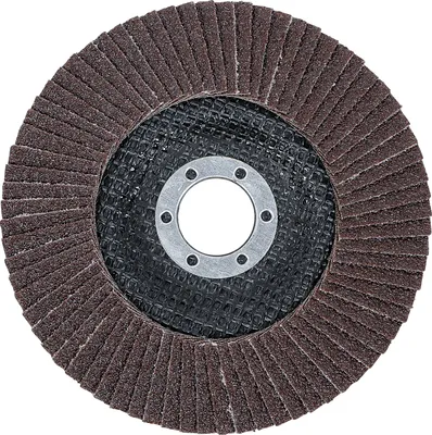 Immagine prodotto di BGS 3975 Disco lamellare | Ø 125 mm | K 60