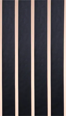 Obrázek produktu pro Závěs do dveří LINTEN HQ černá 90x220 cm