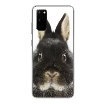 Produktbild von MuchoWow® Handyhülle Schutzhülle Hülle für Samsung Galaxy S20 Kaninchen - Haustiere - Fell Silikon Softcase Handy Hülle - Bild