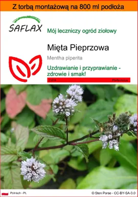 Zdjęcie produktu dla SAFLAX - Garden in the bag - Mięta Pieprzowa - 300 Nasiona - Z podłożem uprawowym w praktycznej, samorozkładającej się torbie - Mentha piperita