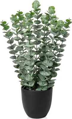 Immagine prodotto di Pianta artificiale di eucalipto 40cm verde in vaso - pianta decorativa per soggiorno e ufficio