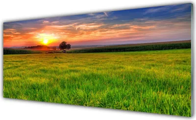 Produktbild von Acrylglasbilder 125x50 Wandbild Druck Wiese Sonne Natur