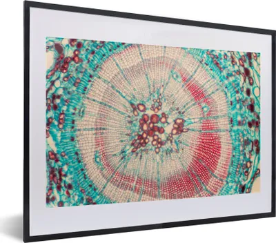Produktbild von MuchoWow® MuchoWow® Gerahmtes Poster Kreis - Blau - Rot 40x30 cm - Poster mit zchwarzem Bilderrahmen - Bilderrahmen - Poster im Rahmen