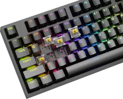 Zdjęcie produktu dla GENESIS Thor 404 TKL, Przewodowa, USB, Mechaniczna, QWERTY, RGB LED, Czarny