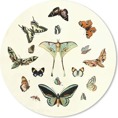 Produktbild von MuchoWow® Mauspad Mousepad Schmetterling - Tiere - Vintage 50x50 cm - Mousepads - Maus Mat - Pad - Mausunterlage - Vinyl