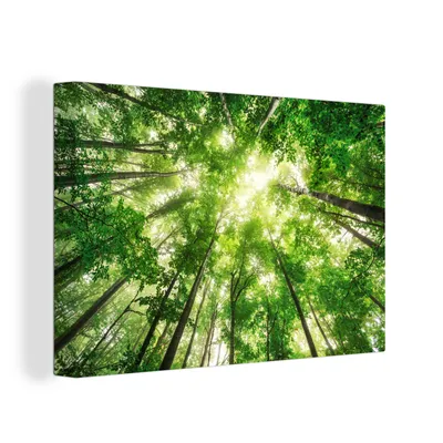 Obrázok produktu pre OneMillionCanvasses® - Maľba na plátne - Obraz na plátne Nástenná maľba na plátne - Les - Slnko - Strom - 150x100cm - Fotografia na plátne - maľba na