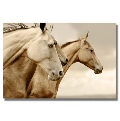 Produktbild von TPFLiving Kunstdruck LW-753 (OHNE RAHMEN) Poster - Leinwand - Wandbild - Hochauflösender Giclée-Druck, langlebig und hochwertig - Wilde Pferde in beigen und braunen Farbtönen - Größe: 80x120cm