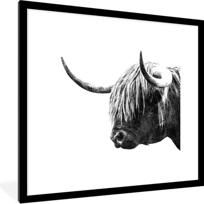 Produktbild von MuchoWow® Gerahmtes Poster Schottischer Highlander - Horn - Schwarz - Weiß 40x40 cm - Poster mit Schwarzem Bilderrahmen Wandposter Rahmen Foto Bilder - Poster - Plakat im Rahmen