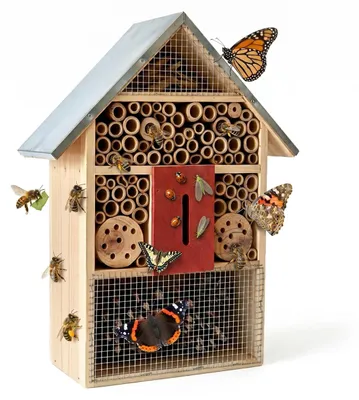 Produktbild von Elzusha – Holzhäuschen für Bienen mit verzinktem Metalldach