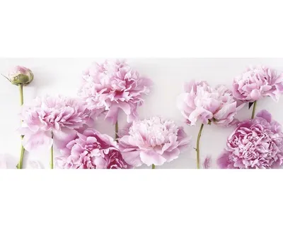 Produktbild von Glasbild Peonies III GLA2152 125x50 cm