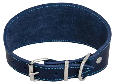 Hundehalsband aus Fettleder, Blau, 48 cm, verstellbar