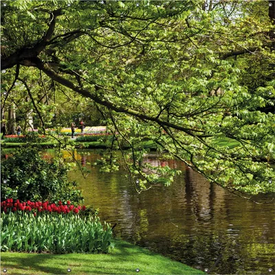 Produktbild von Wallario Outdoor-Poster für Garten oder Balkon, Motiv Bunte Blumen im Park am Wasser - Frühblüher am Ufer, in ca. 180 x 180 cm
