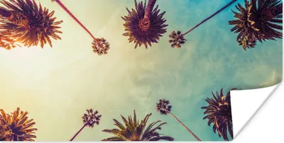 Produktbild von MuchoWow® Poster Palme - Himmel - Bäume - Sommer - Tropisch 40x20 cm - Poster für die Wand - Poster Schlafzimmer