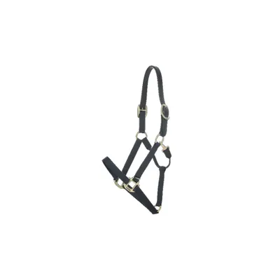 Produktbild von Kentucky Horsewear Nylon Halfter Breakaway