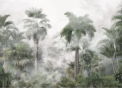Produktbild von Tapete Palmen im Nebel - 375 x 270 cm