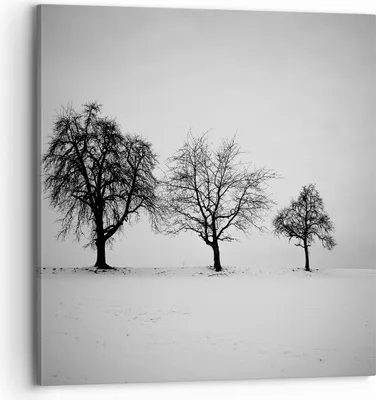 Produktbild von Bild auf Leinwand - Leinwandbild - Einteilig - Winter Bäume Schnee - 70x70cm - Wand Bild - Wanddeko - Wandbilder - Leinwanddruck - Bilder - Wanddekoration - Leinwand bilder - Wandbild - AC70x70-4958