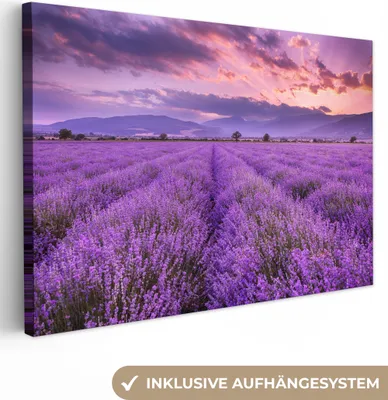 Obrázok produktu pre MuchoWow® - Plátno - Levanduľa - Fialová - Kvety - Pole, nástenná maľba, nástenné dekorácie obrazy obývacia izba, 120x80cm