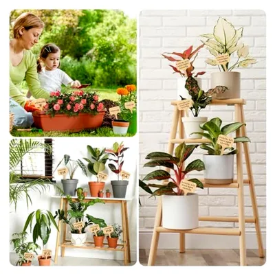 Produktbild von 40 Pflanzenschilder aus Bambus, Pflanzenstecker zum Beschriften inklusive Marker, wetterfeste Stecketiketten für Gemüse, Kräuter und Blumen