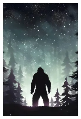 Produktbild von Wallario Wandbild aus Acryl, 90 x 60 cm, freischwebende Optik - Begegnung im Sternenwald
