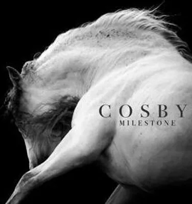 Produktbild von Milestone