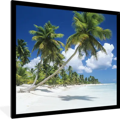 Produktbild von MuchoWow® Gerahmtes Poster Strand - Palme - Tropisch 40x40 cm - Poster mit Schwarzem Bilderrahmen Wandposter Rahmen Foto Bilder - Mit Rahmen - Wanddekoration Schlafzimmer