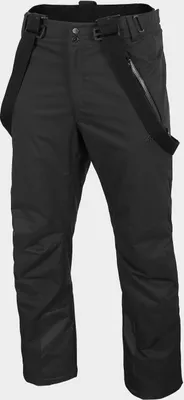 Produktbild von 4F - Primaloft Dermizax 20 000 - Herren Primaloft Skihose - schwarz