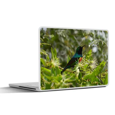 Produktbild von MuchoWow® Laptop Aufkleber Sticker Cover Vogel zwischen den Blättern im Dschungel 40x30 cm - Laptop Dekoration - Selbstklebend