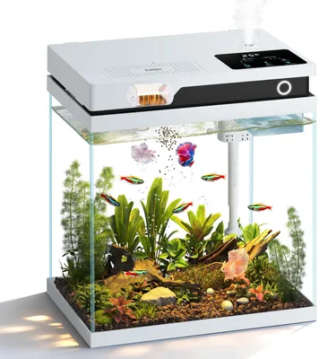 Imagen del producto de Conjunto completo para acuario nano - 16 litros - Vidrio - Blanco - Para uso interior - Con filtro