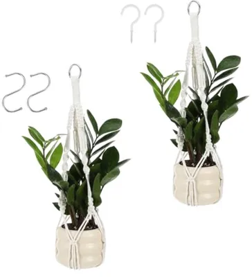 Productafbeelding van PromoHome® Macramé plantenhangers - 2 stuks - 50 cm - Natuurlijk katoen - Geschikt voor binnen en buiten