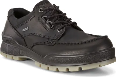 A black leather shoe with laces and a GORE-TEX logo on a white background.