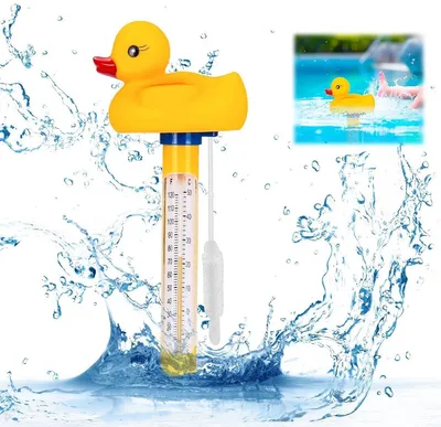 Poolthermometer, Hauptbild