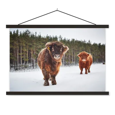 Produktbild von MuchoWow® Textilposter Schottische Highlander - Schnee - Kühe 150x100 cm mit schwarzem Rahmen - Schlafzimmer