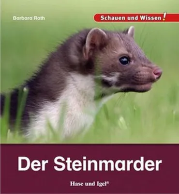 Image de Der Steinmarder