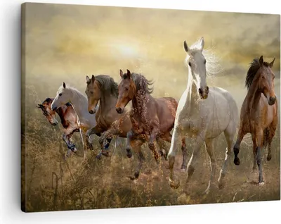 Produktbild von Bild auf Leinwand - Leinwandbild - Pferd Tier Natur - 70x50cm - Wand Bild - Wanddeko - Wandbilder - Leinwanddruck - Bilder - Kunstdruck - Wanddekoration - Leinwand bilder - Wandkunst - AA70x50-3640